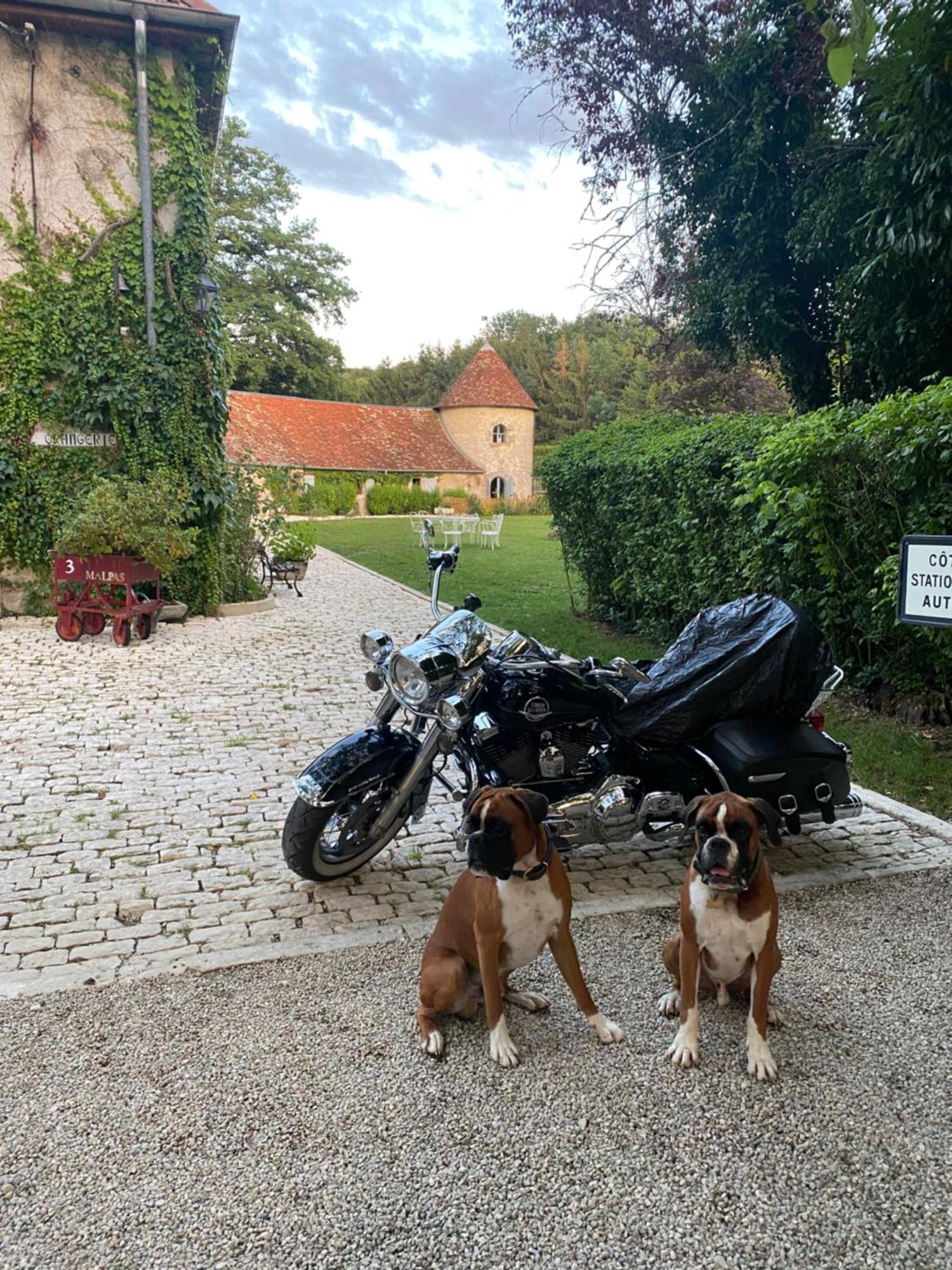 Bed and Breakfast La Roulotte Deluxe De Malpas Quingey Exteriér fotografie
